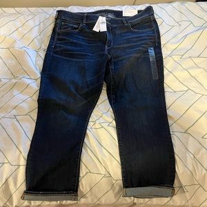 AE Artist Crop jeans, 20 LONG, NWT